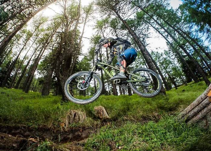 Weiler - Aktiv & Tradition 4* Obertilliach