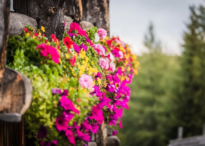 Weiler - Aktiv & Tradition Obertilliach